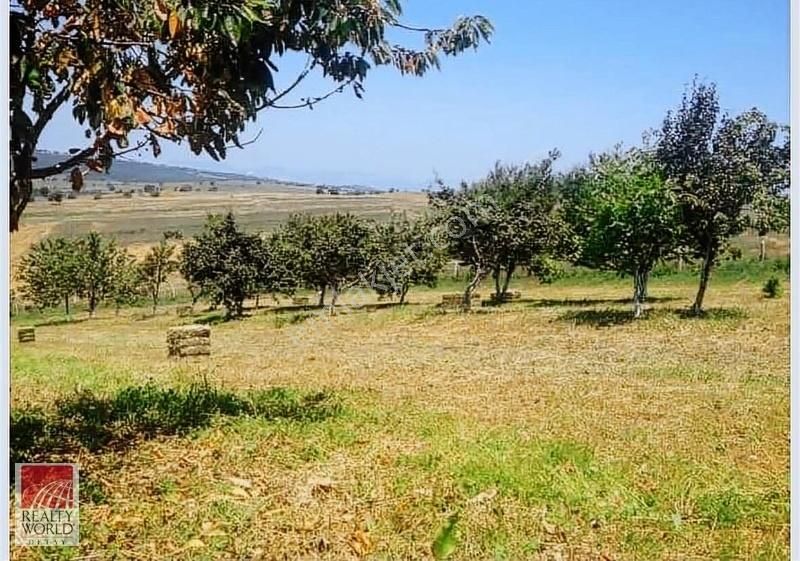 Söğüt Ortaca Köyü Satılık Bağ & Bahçe Bilecik Söğüt Ortaca Köyü, Köyün Yakını 2.040 M2 Satılık Bahçe