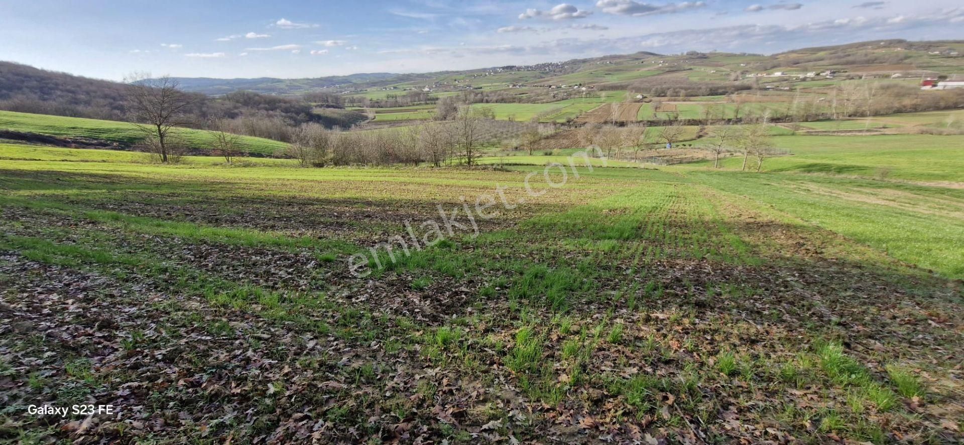 Adapazarı Nasuhlar Satılık Tarla Adapazarı Nasuhlar Mah. Şekli Güzel 4572 M2 Yatırımlık Tarla