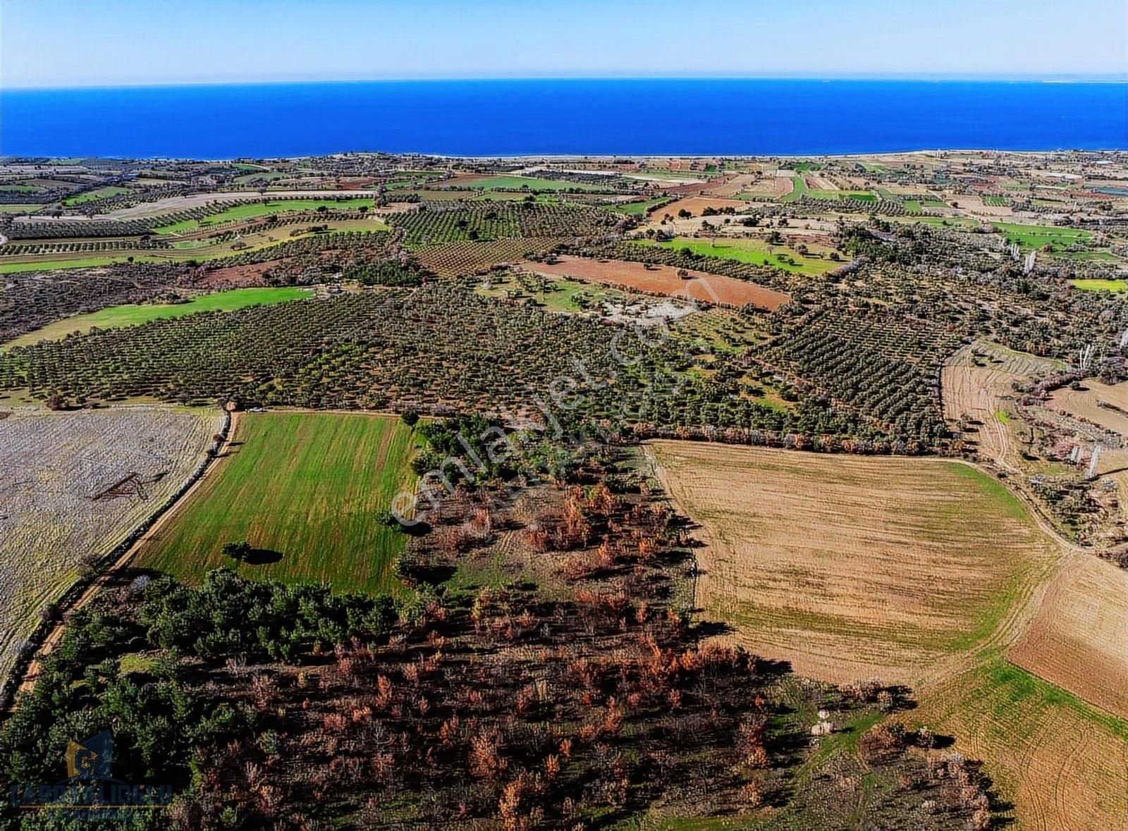 Ayvacık Kösedere Köyü (Merkez 2) Satılık Tarla Çanakkale Ayvacık Kösedere Satılık Tarla