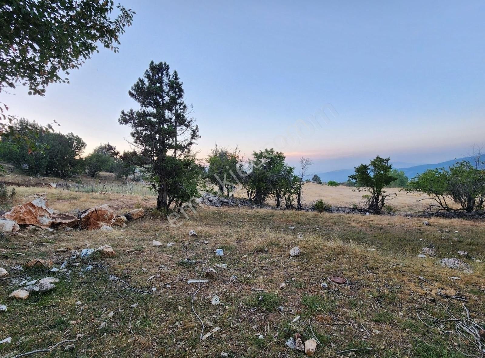 Seydikemer Kıncılar Satılık Tarla Yayla Kıncılar Örtülü Mevkisinde 1800 M2 Tarla