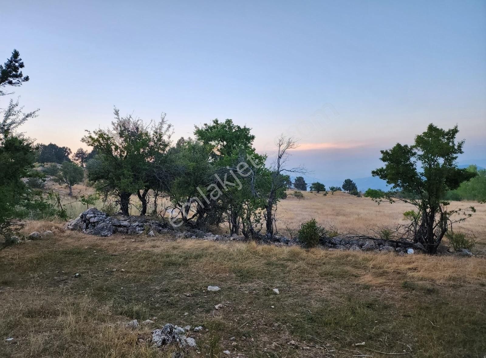 Yayla Kıncılar Örtülü Mevkisinde 1800 M2 Tarla - Görsel 2