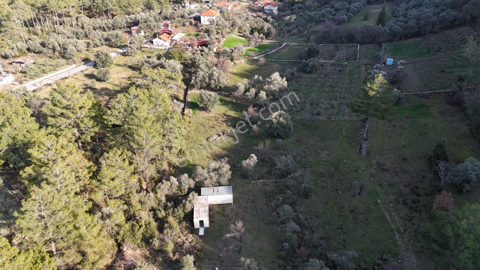 Fethiye Karacaören Satılık Tarla Goldhouse Dan Satılık Doğayla İç İçe 1649 M2 Arazi