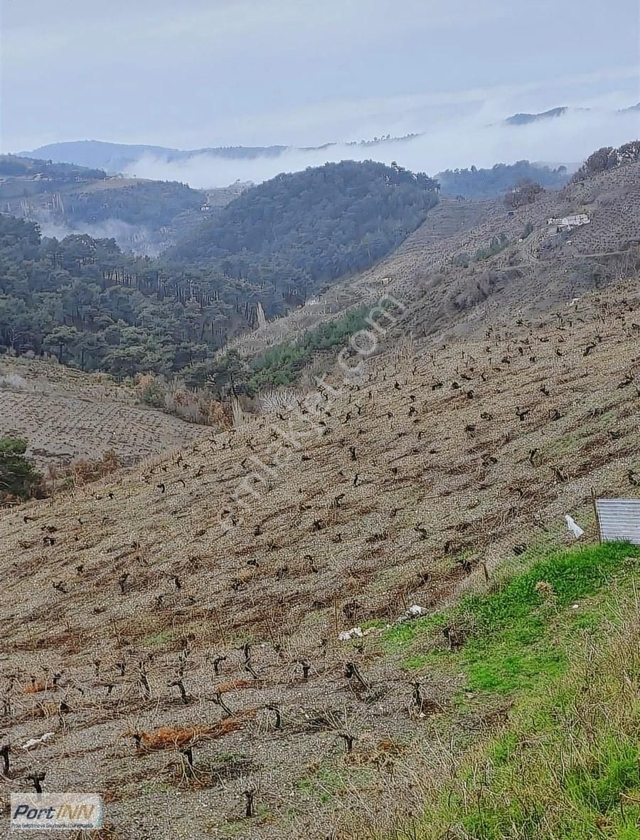 Karabağlar Kavacık Satılık Tarla Kavacık'ta Muhteşem Konumda 8725 M2 Bağ