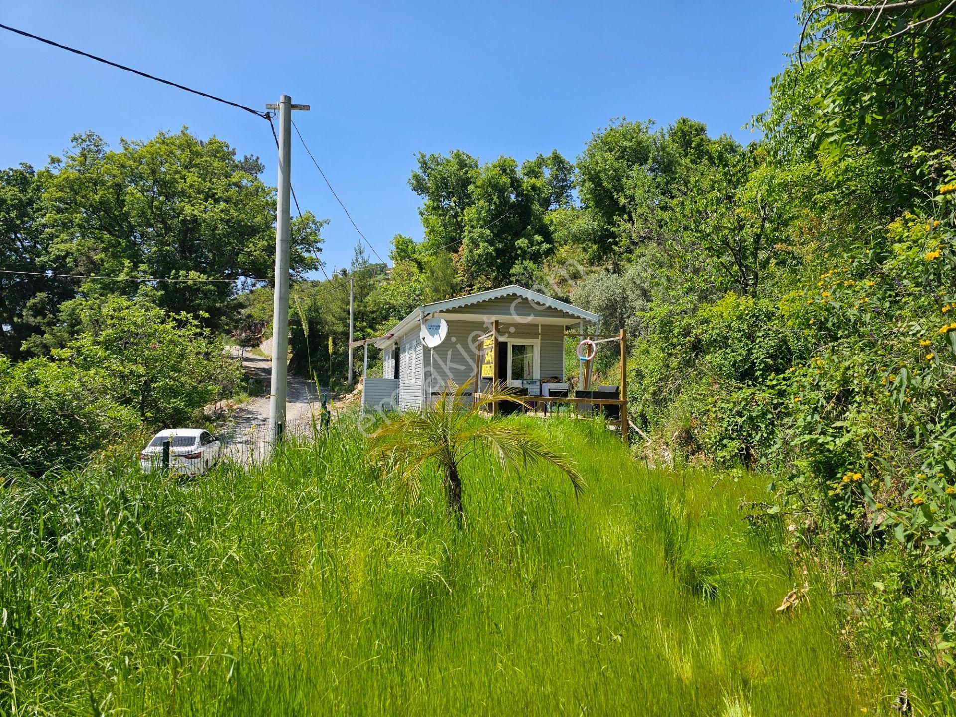 Alanya Mahmutseydi’de Doğa İçinde Huzurlu Bir Yaşam Fırsatı! - Görsel 5