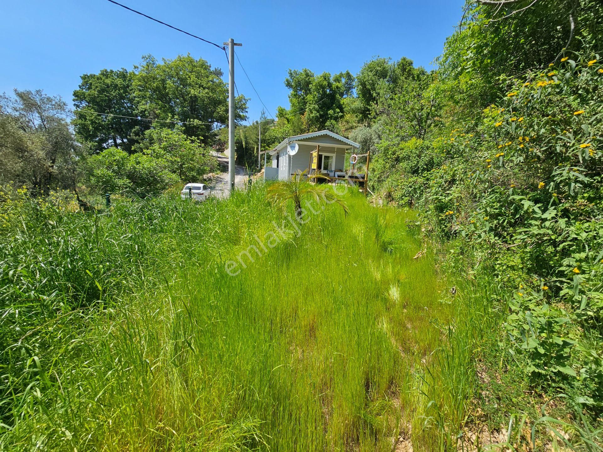Alanya Mahmutseydi’de Doğa İçinde Huzurlu Bir Yaşam Fırsatı! - Görsel 6