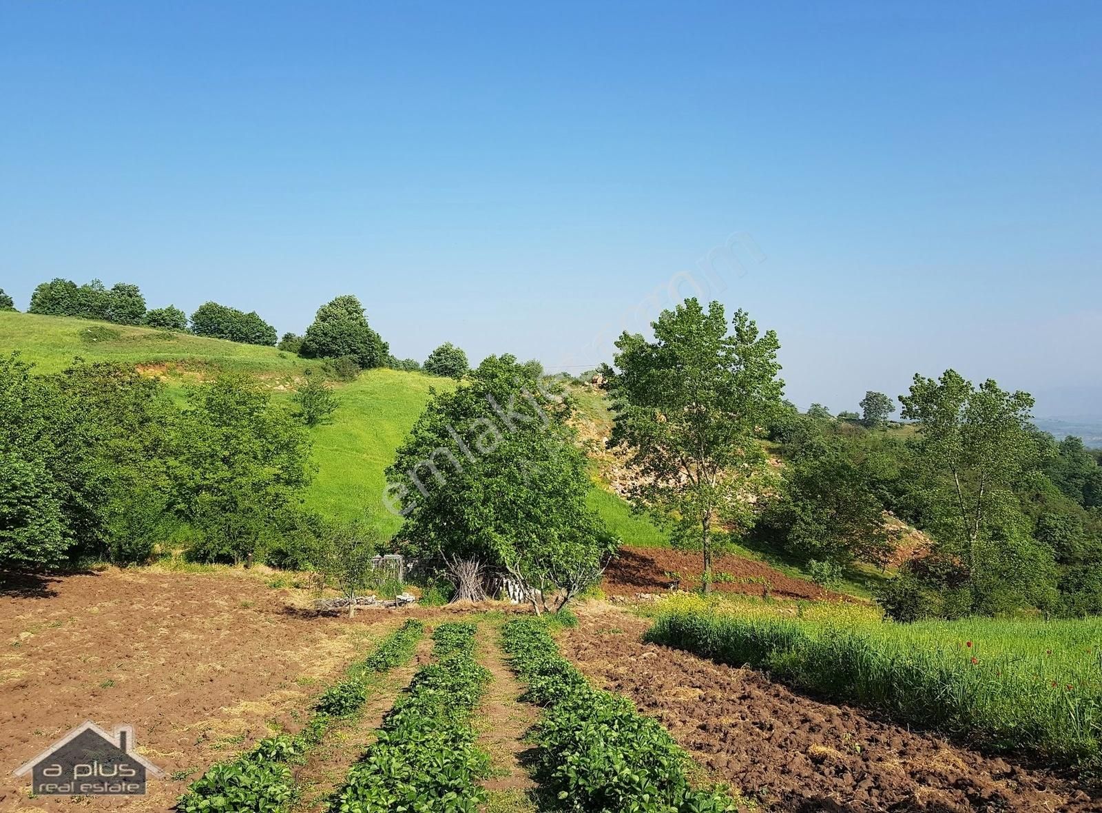 Kestel Ümitalan Satılık Tarla Bursa,kestel, Ümitalan'da 18.168 M² Müstakil Tapulu Tarla!