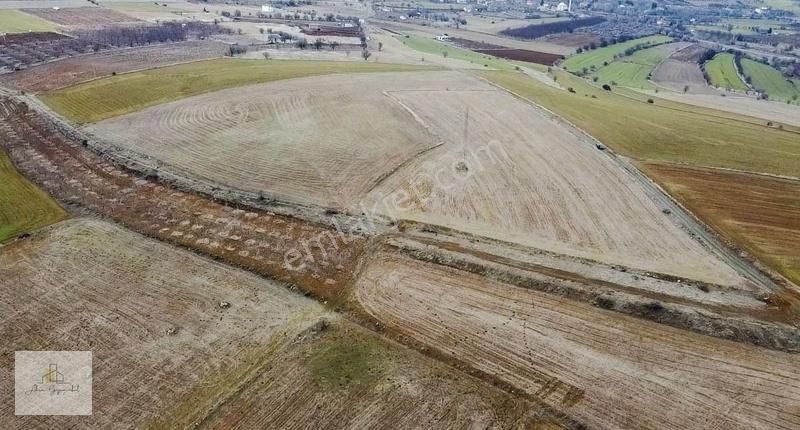 Elazığ Merkez Işıkyolu Köyü Satılık Tarla Merkez Işıkyolu | 24.750 M² | Ahrâr Gayrimenkul