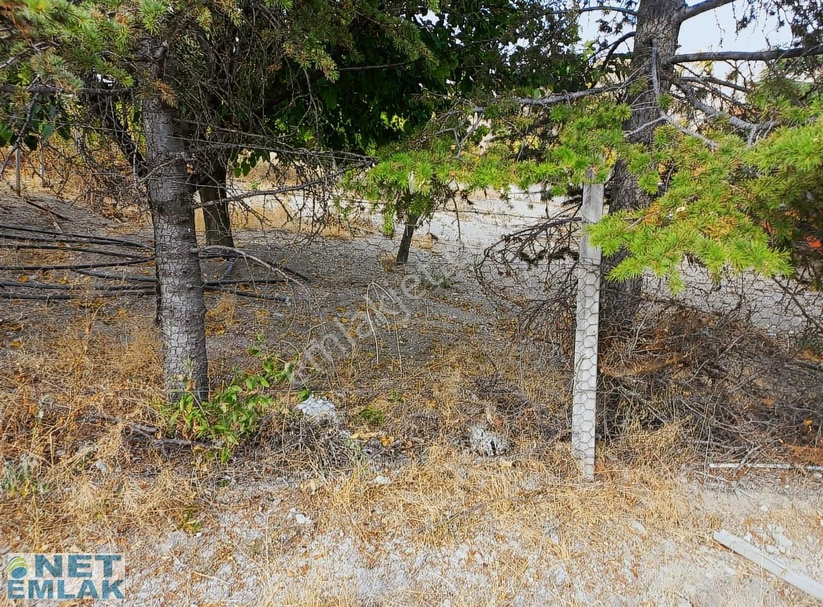 Sincan Fevzi Çakmak Satılık Ticari İmarlı Yenikent Net Emlaktan Hazır Kurulu Ahır Ve Arsaları Komple