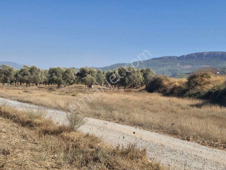 Elvan Özçelik'den Yakaköy'de Satılık Tarla - Görsel 2