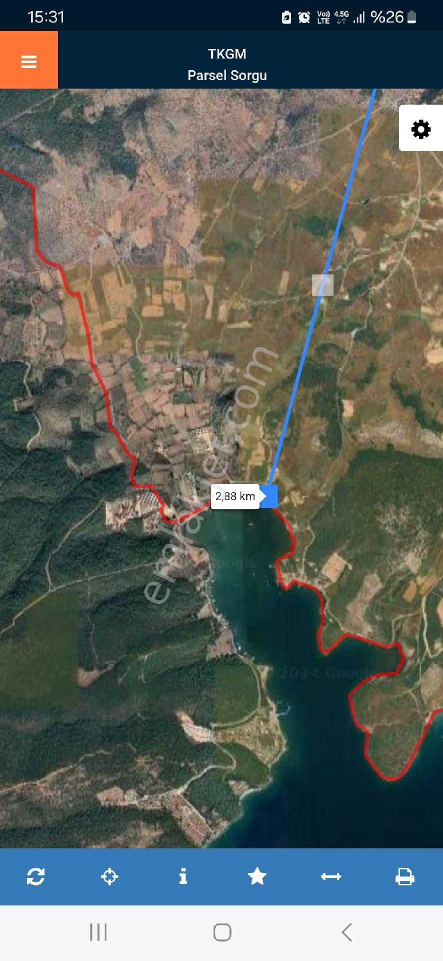Muğla Milas Kazıklıda Yatırımlık Zeytinlik - Görsel 3