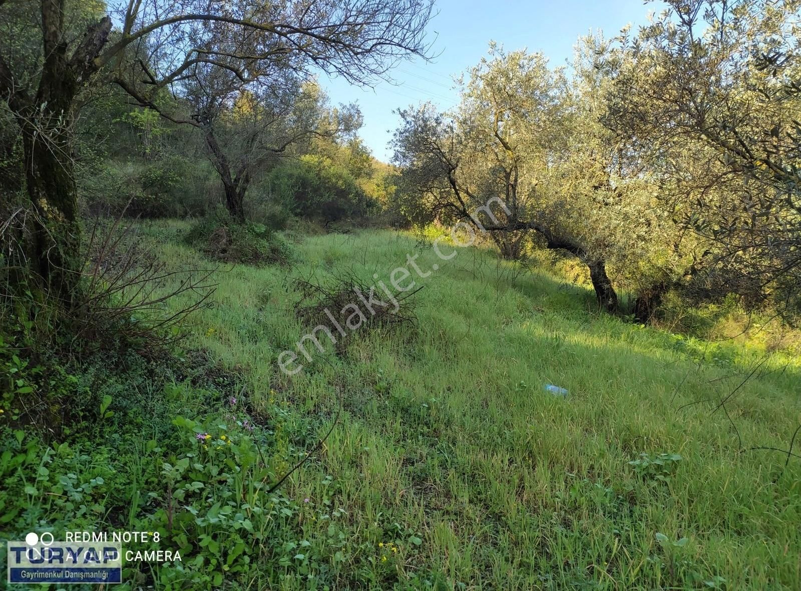 Defne Yeniçağ Satılık Tarla Yeniçağ Mah Satılık 238 Metre Parsel