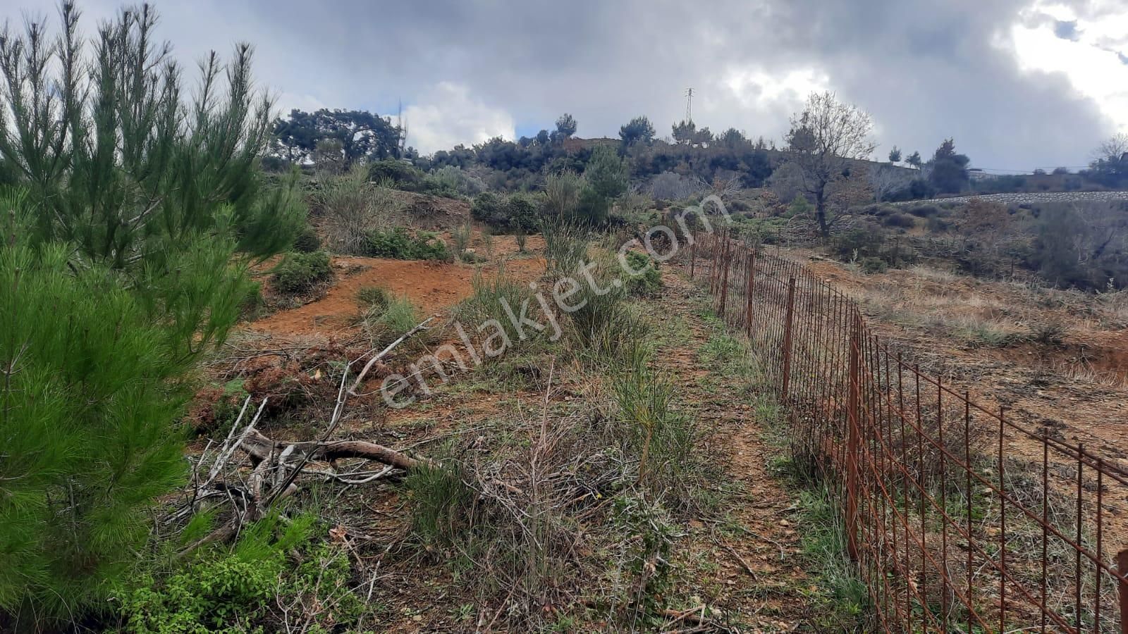 Karabağlar Kavacık Satılık Bağ & Bahçe Kavacık Köyü'nde Merkeze 500 M Mesafede 1015 M2 Müstakil Bahçe