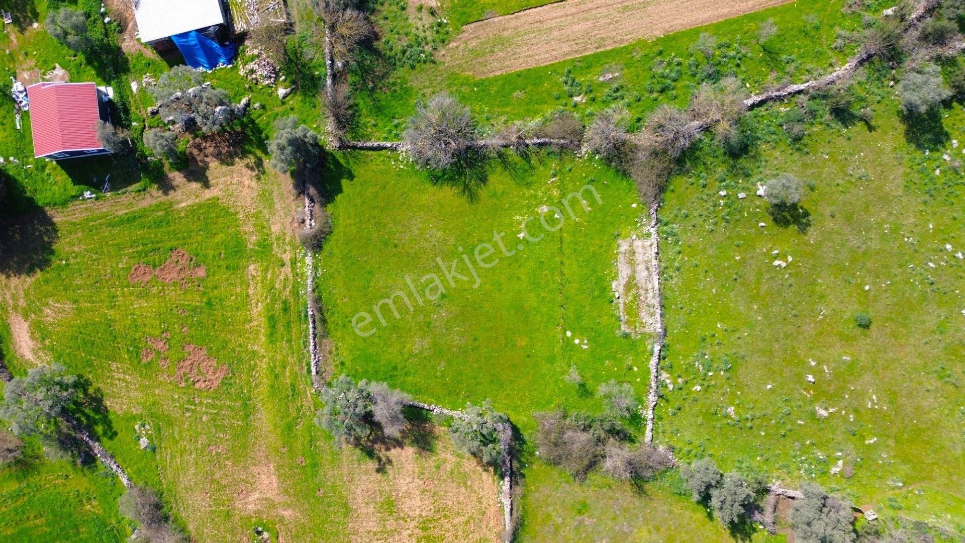 Milas Kızılağaç'ta Satılık Konut İmarlı Arsa - Görsel 16