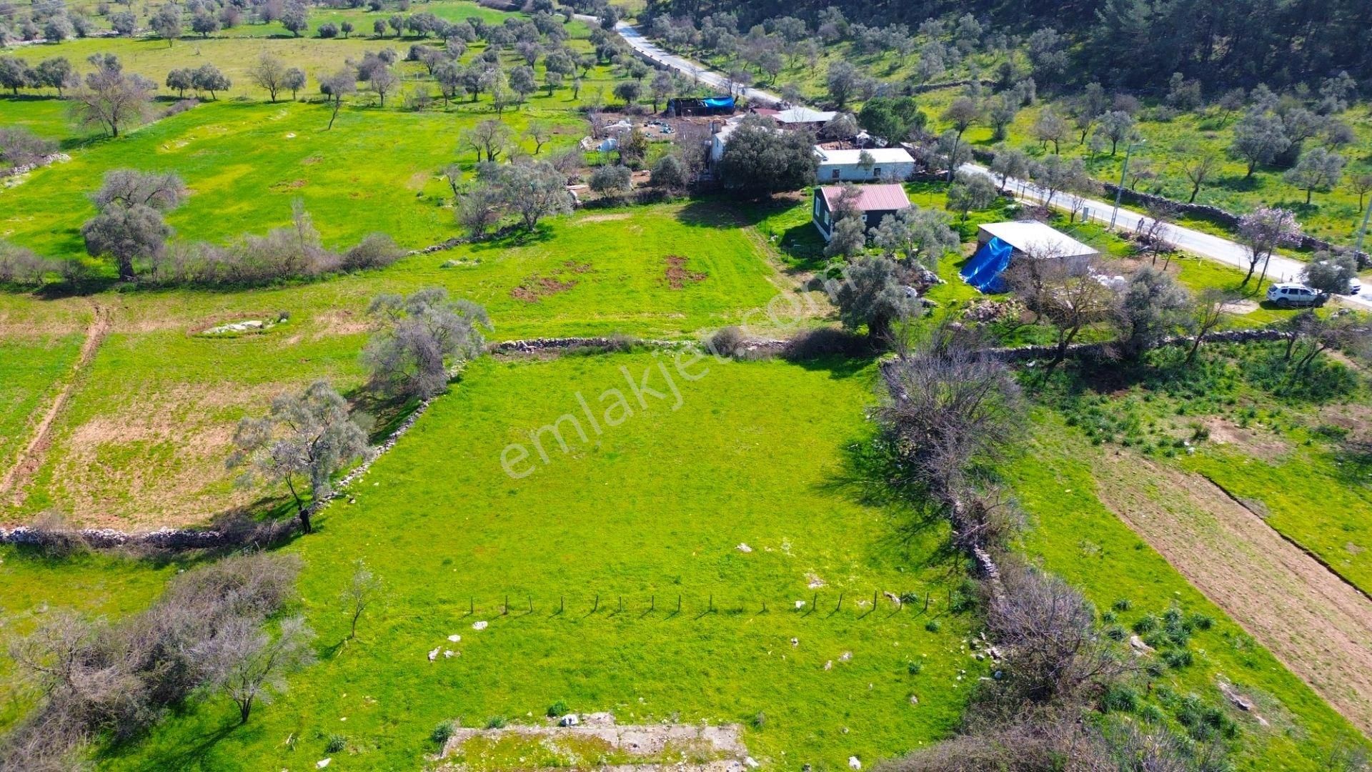 Milas Kızılağaç'ta Satılık Konut İmarlı Arsa - Görsel 13