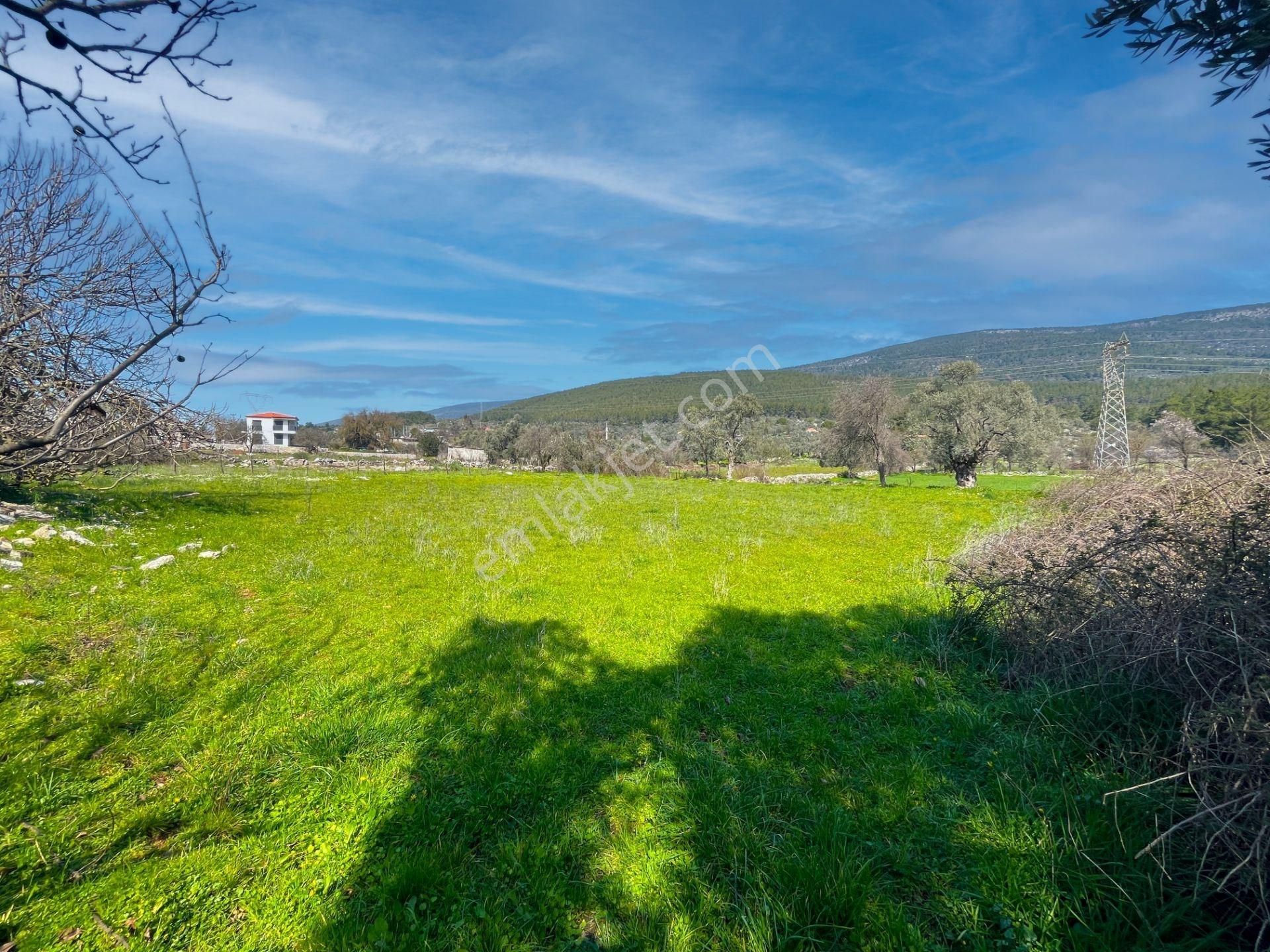Milas Kızılağaç'ta Satılık Konut İmarlı Arsa - Görsel 18