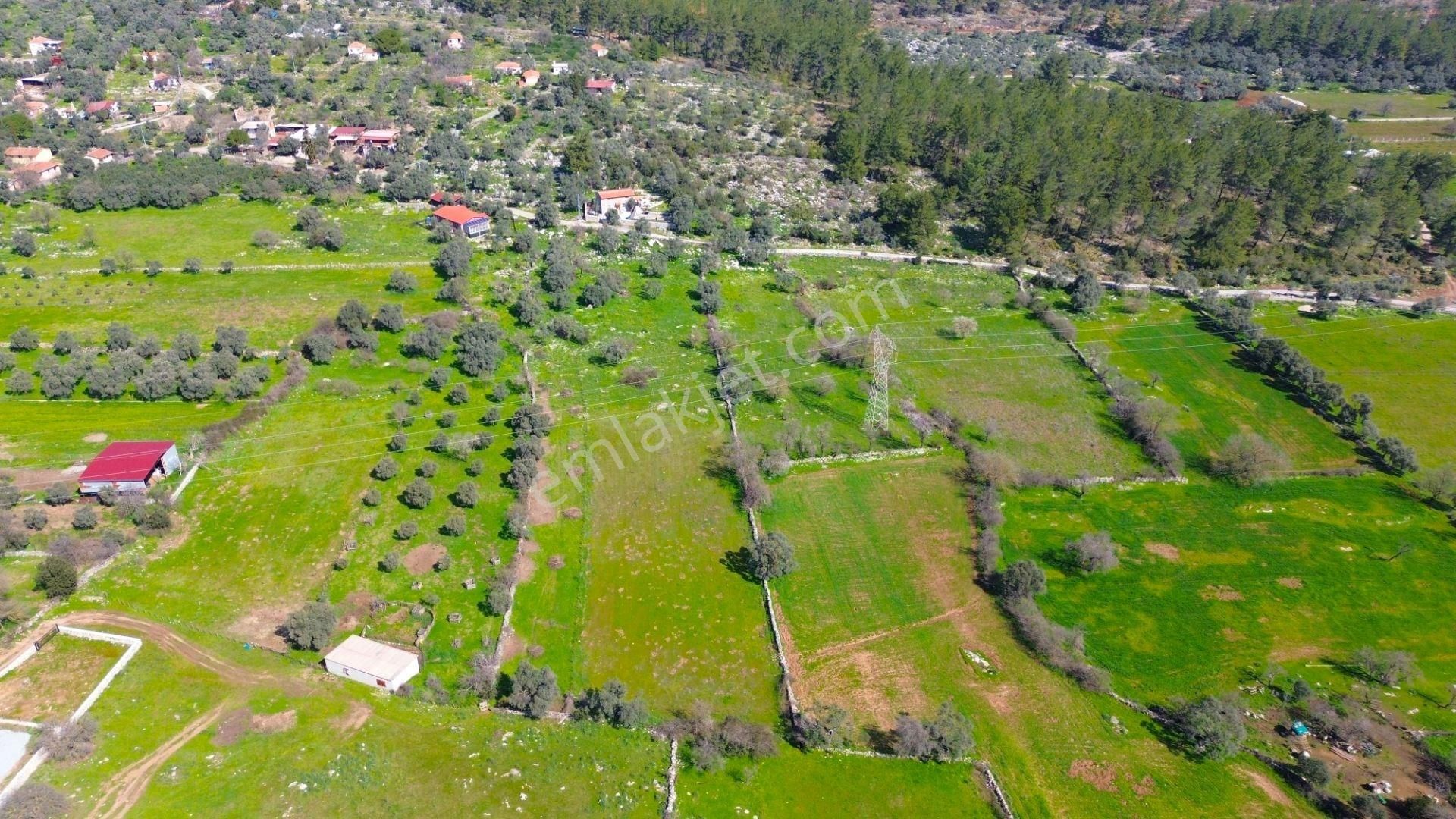 Milas Kızılağaç'ta Denize Yakın 2284 M² Satılık Yatırımlık Arazi - Görsel 5
