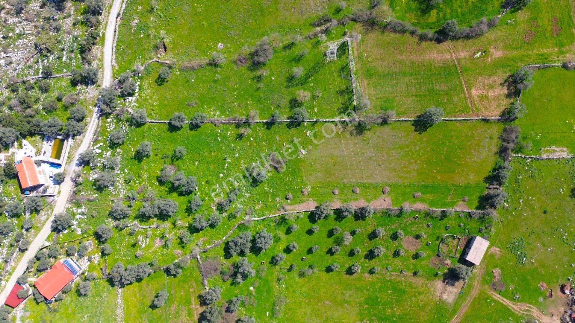 Milas Kızılağaç'ta Denize Yakın 2284 M² Satılık Yatırımlık Arazi - Görsel 9