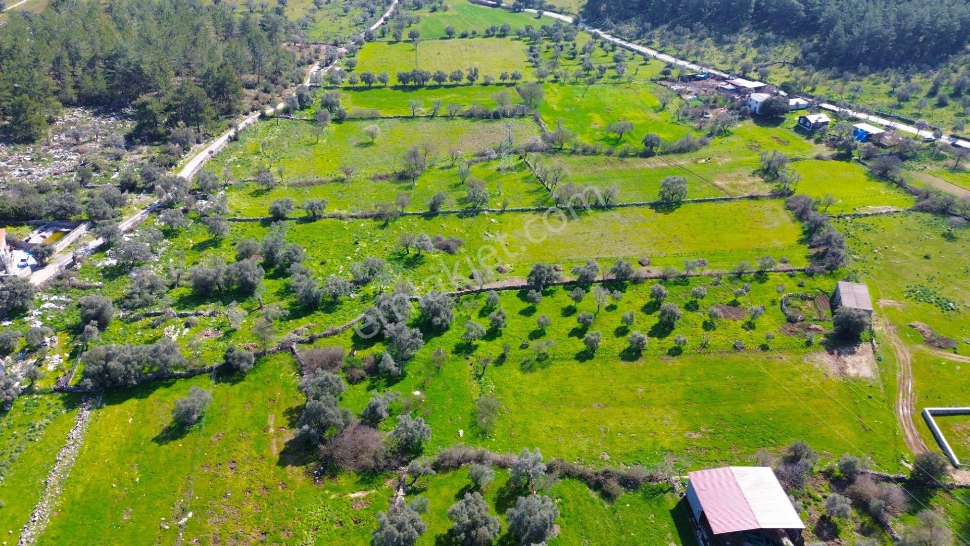Milas Kızılağaç'ta Denize Yakın 2284 M² Satılık Yatırımlık Arazi - Görsel 8