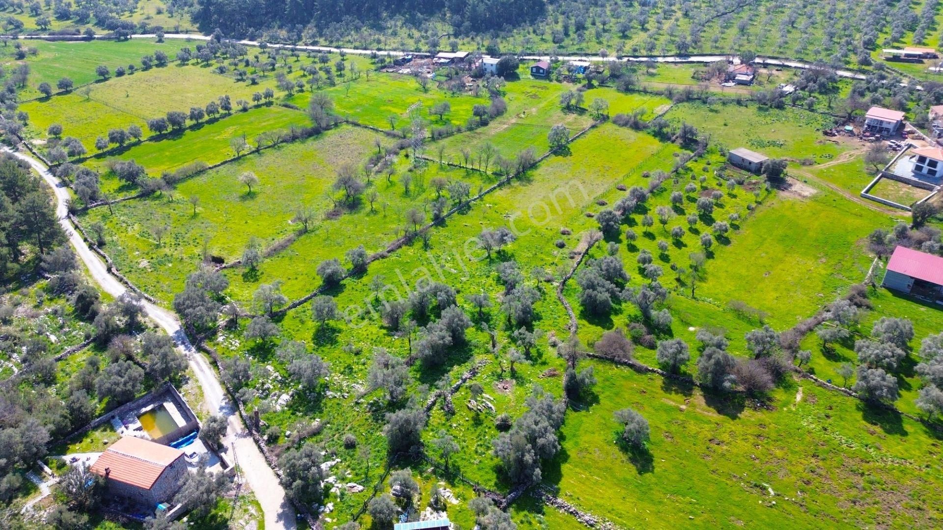 Milas Kızılağaç'ta Denize Yakın 2284 M² Satılık Yatırımlık Arazi - Görsel 11