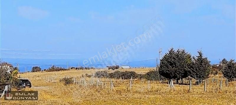 Atakum Büyükoyumca Satılık Konut İmarlı Pamuklu Bulv Yakın Konum 5 Kata İmarlı Satılık Arsa