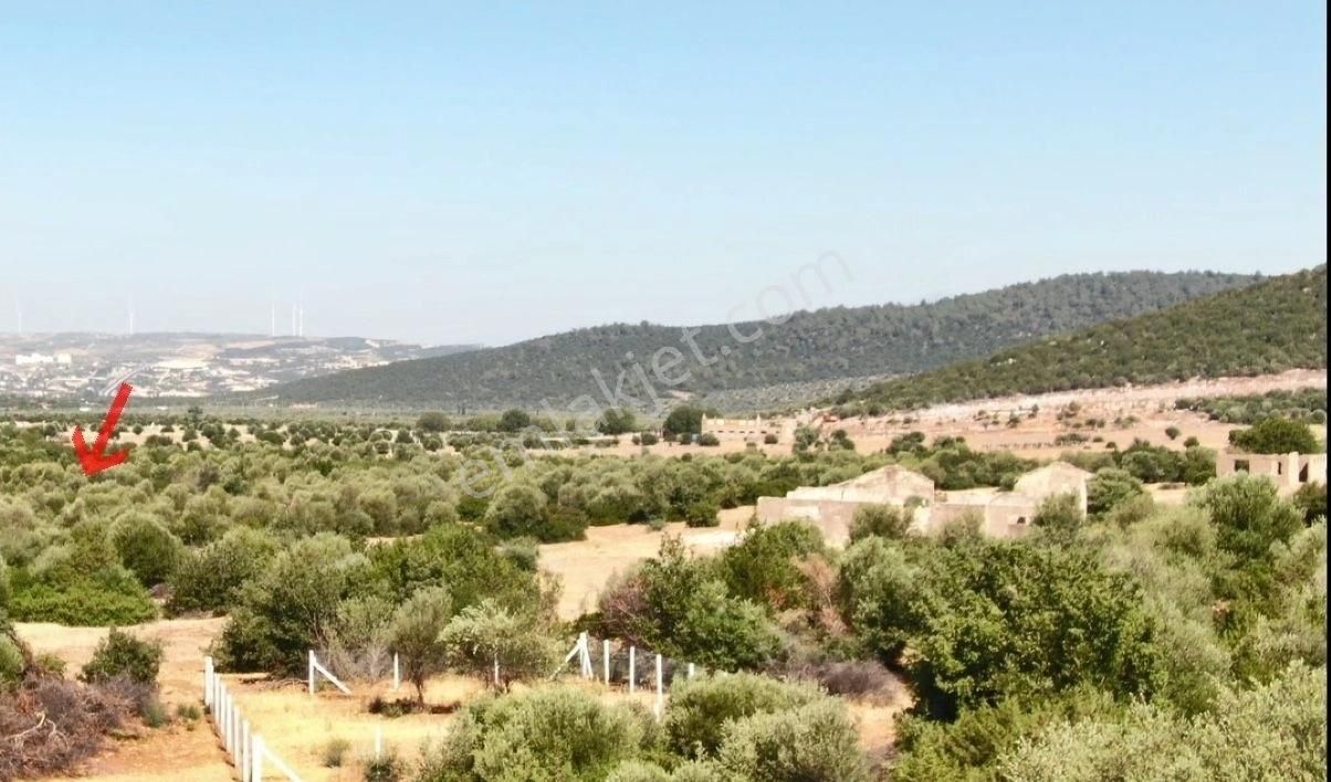 Didim Ak Yeniköy Satılık Konut İmarlı Didim Balovada Yatırımlık İmarlı Villa Arsası. Satılık Arsa