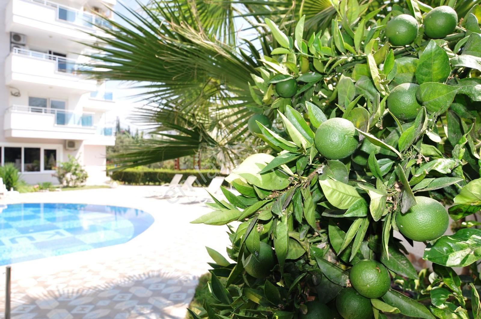 Alanya Mahmutlar Kurt Safir Euro 16 Res. 1+1 Lüks Daire - Görsel 23