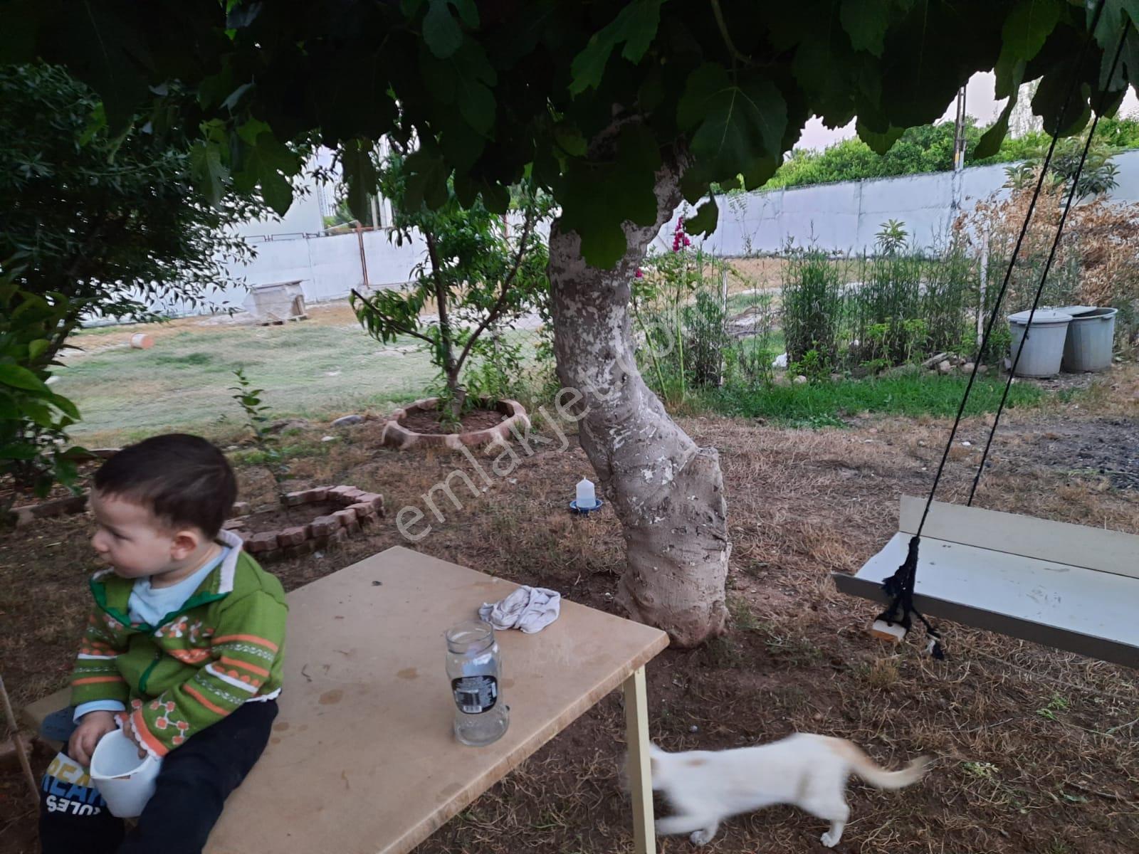 Sahibinden Satılık Erdemli Çeşmelide İmarlı Arsa - Görsel 12