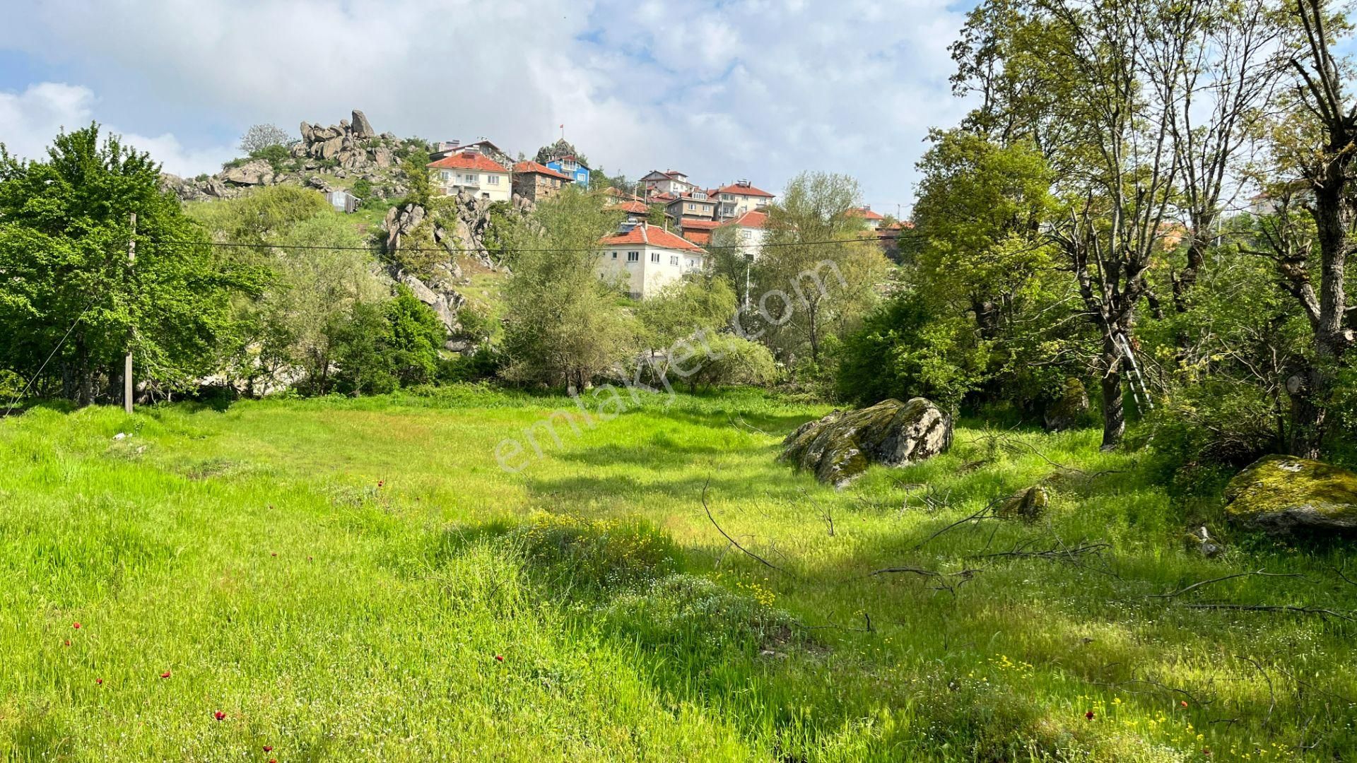 Simav Sudöşeği Köyü Satılık Tarla Optimum Gy Den Dörde Bölünebilir %40 İmarlı Asfalta Cephe Arsa!