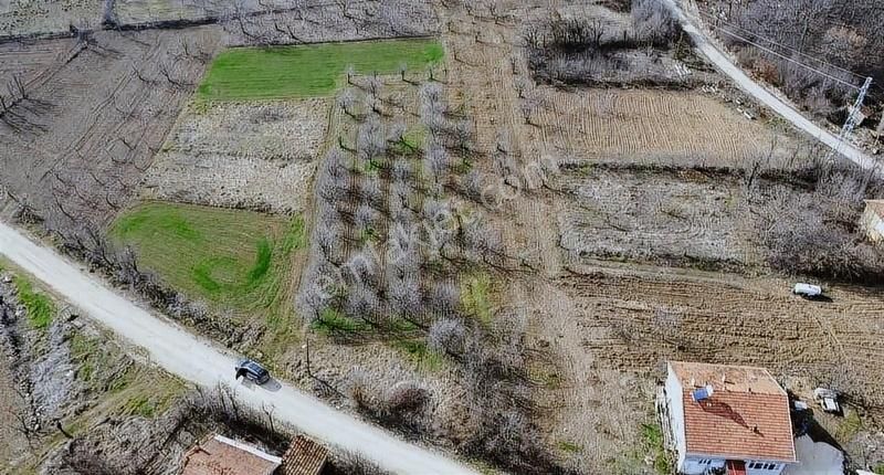 Gölpazarı Alıç Köyü Satılık Konut İmarlı Bilecik Gölpazarı Alıç Köyünde Köy İçi İmarlı Arsa