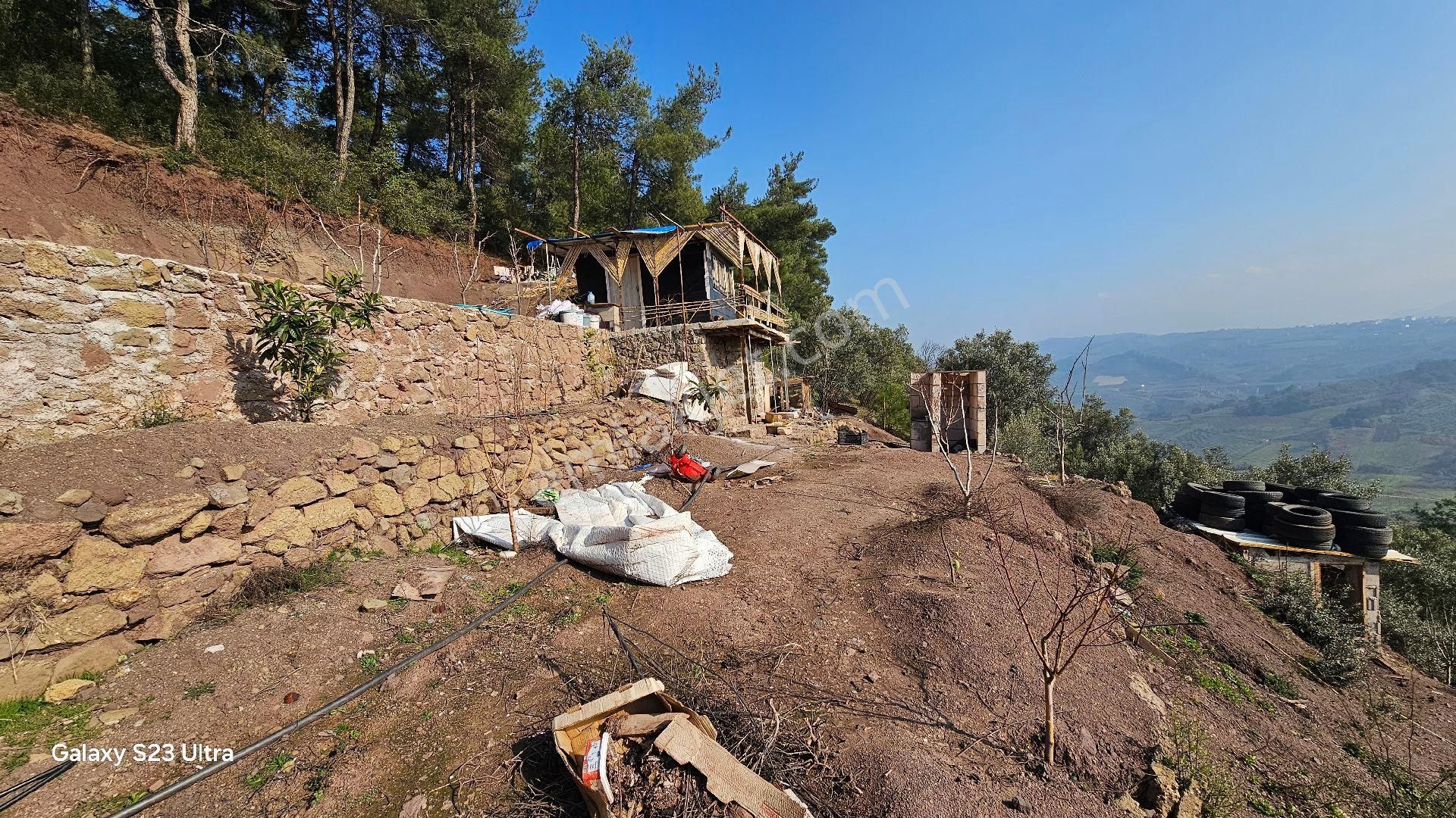 Osmangazi Dürdane Satılık Tarla Muhteşem Fırsat Satılık Tarla