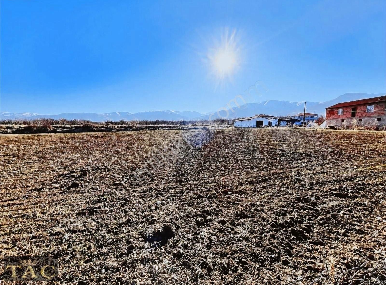 Battalgazi Fırıncı Satılık Bağ & Bahçe Taç Gayrimenkulden Elazığ Yoluna 50 Metre Cephe Boş Tarla