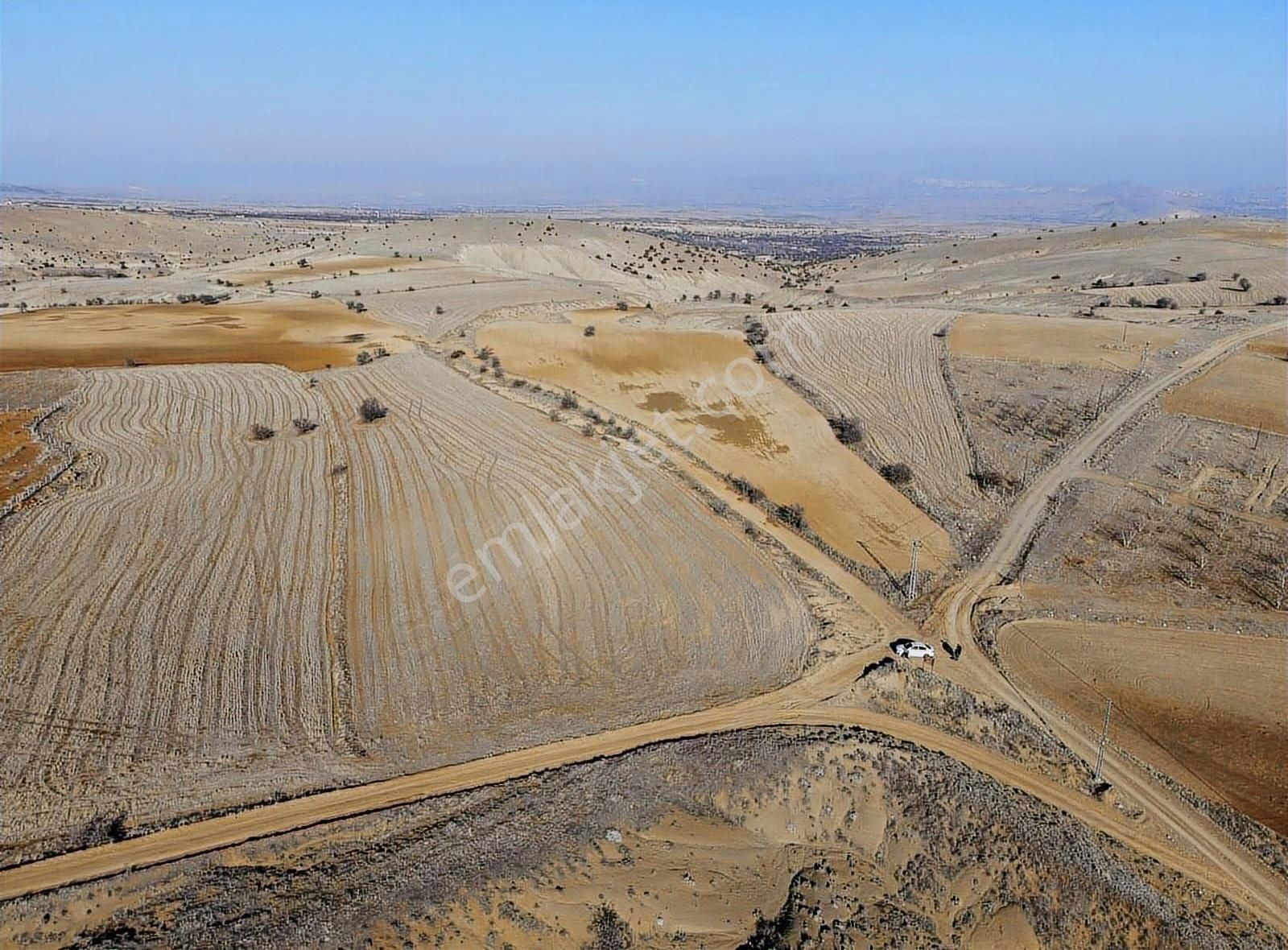 Elazığ Merkez Sultanuşağı Köyü (Süleyman) Satılık Bağ & Bahçe Sultanuşağı Köyünde Uygun Fiyata Fırsat Tarla