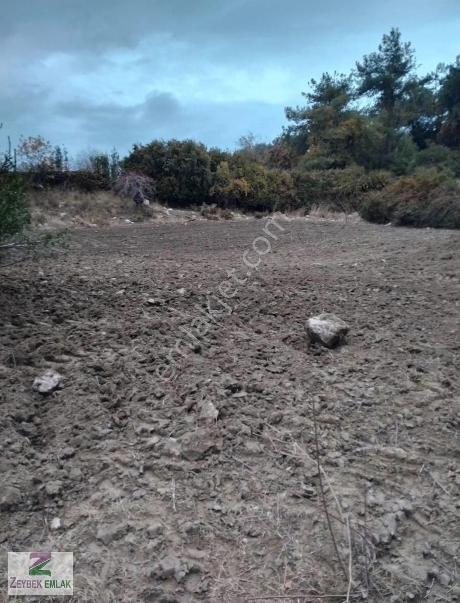 Seydikemer Yakaköy Satılık Tarla Muğla Seyidkemer Yaka Mahallesi'nde Satılık Arsa