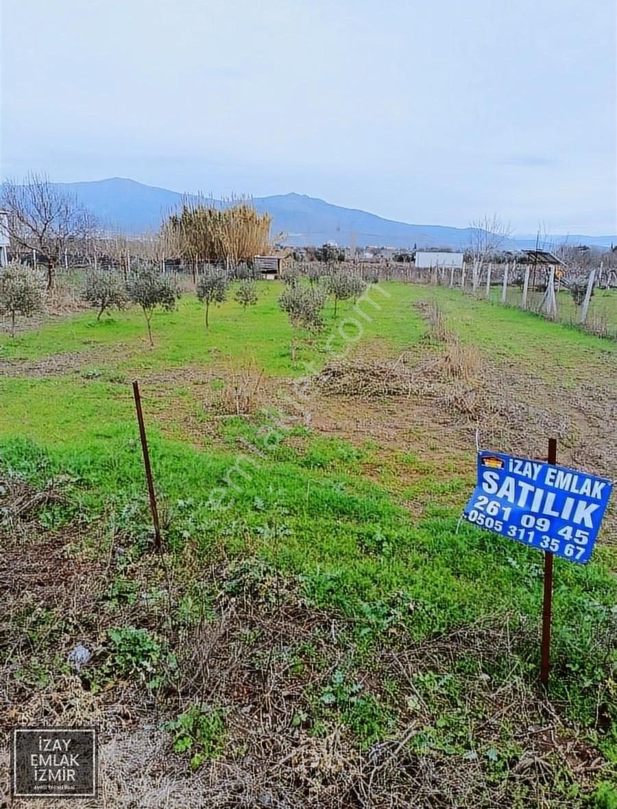 Aliağa B. Hayrettin Paşa Satılık Bağ & Bahçe Aliağa Barbaros Hayrettin Paşa'da Yola Cepheli Müstakil Tarla