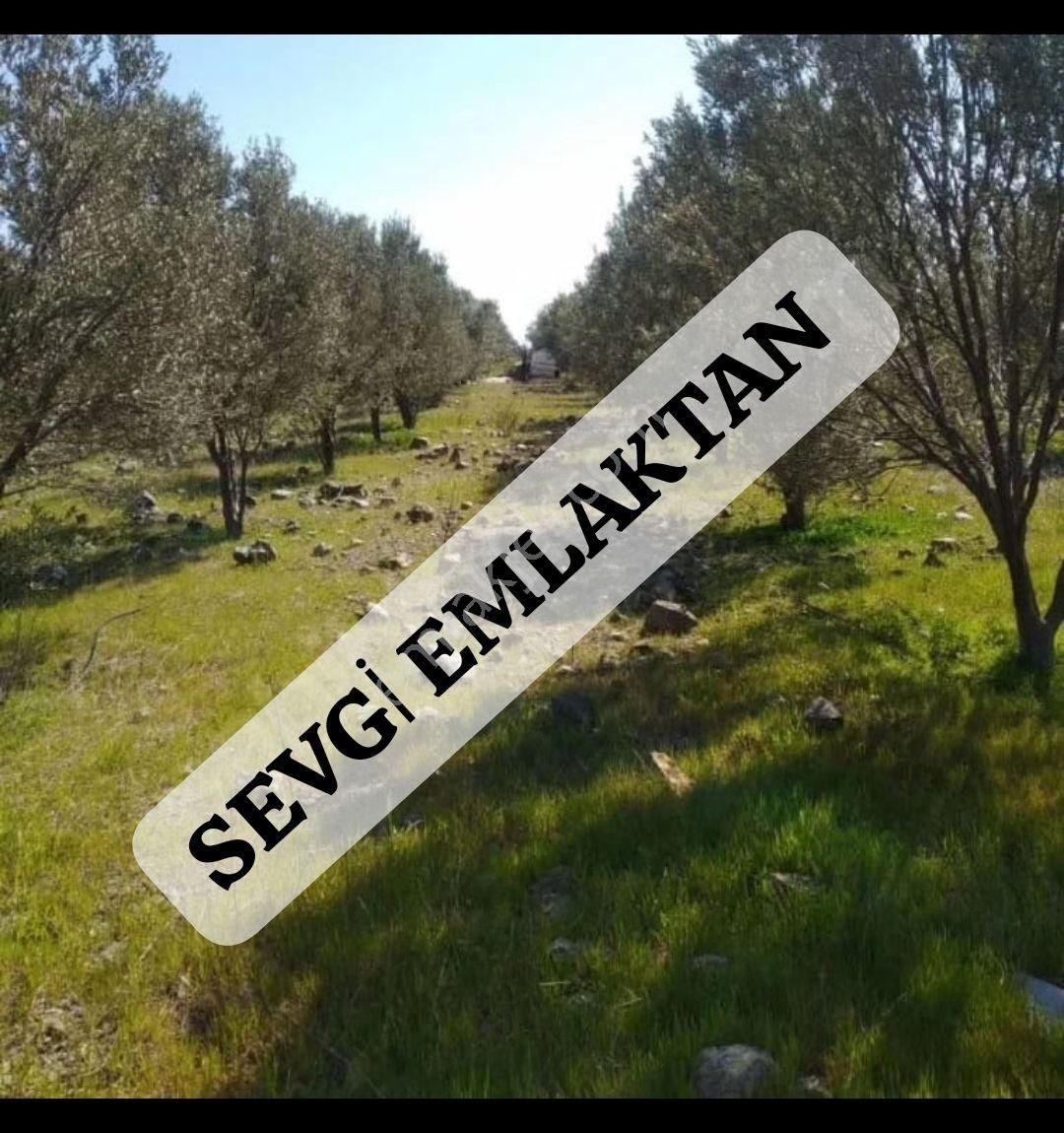 Seferihisar Hıdırlık Satılık Özel Kullanım Sevgi Emlaktan Satılık Arsa