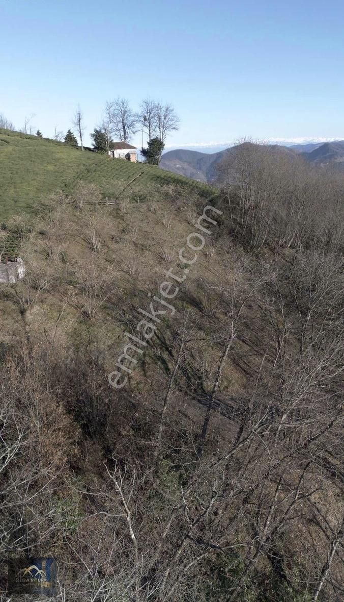 Ortahisar Esenyurt Satılık Villa İmarlı Trabzon Ortahisar Esenyurt Mah De Satılık Villalık Arsa