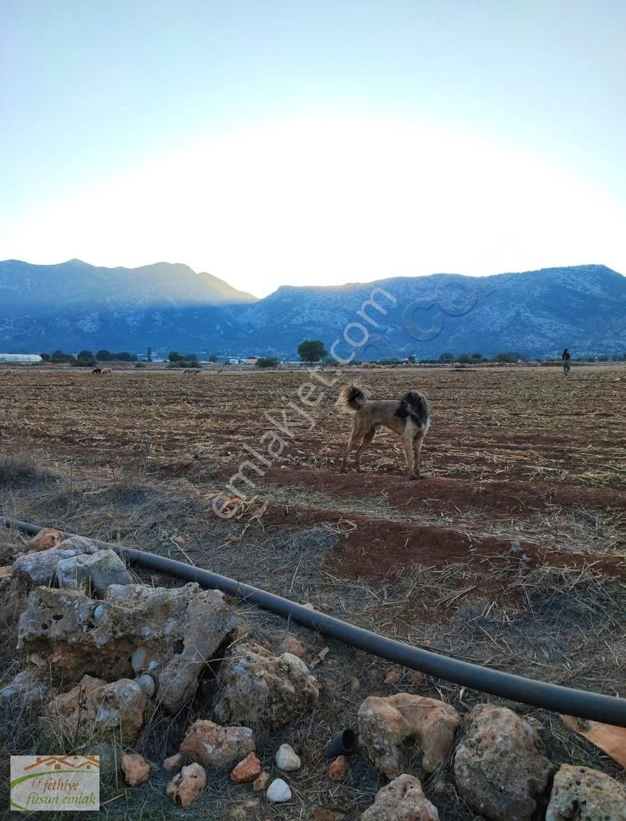 Seydikemer Gölbent Satılık Tarla Füsun Emlaktan Seydikemer Gölbent Resmi Yolu Olan Satılık Arazi