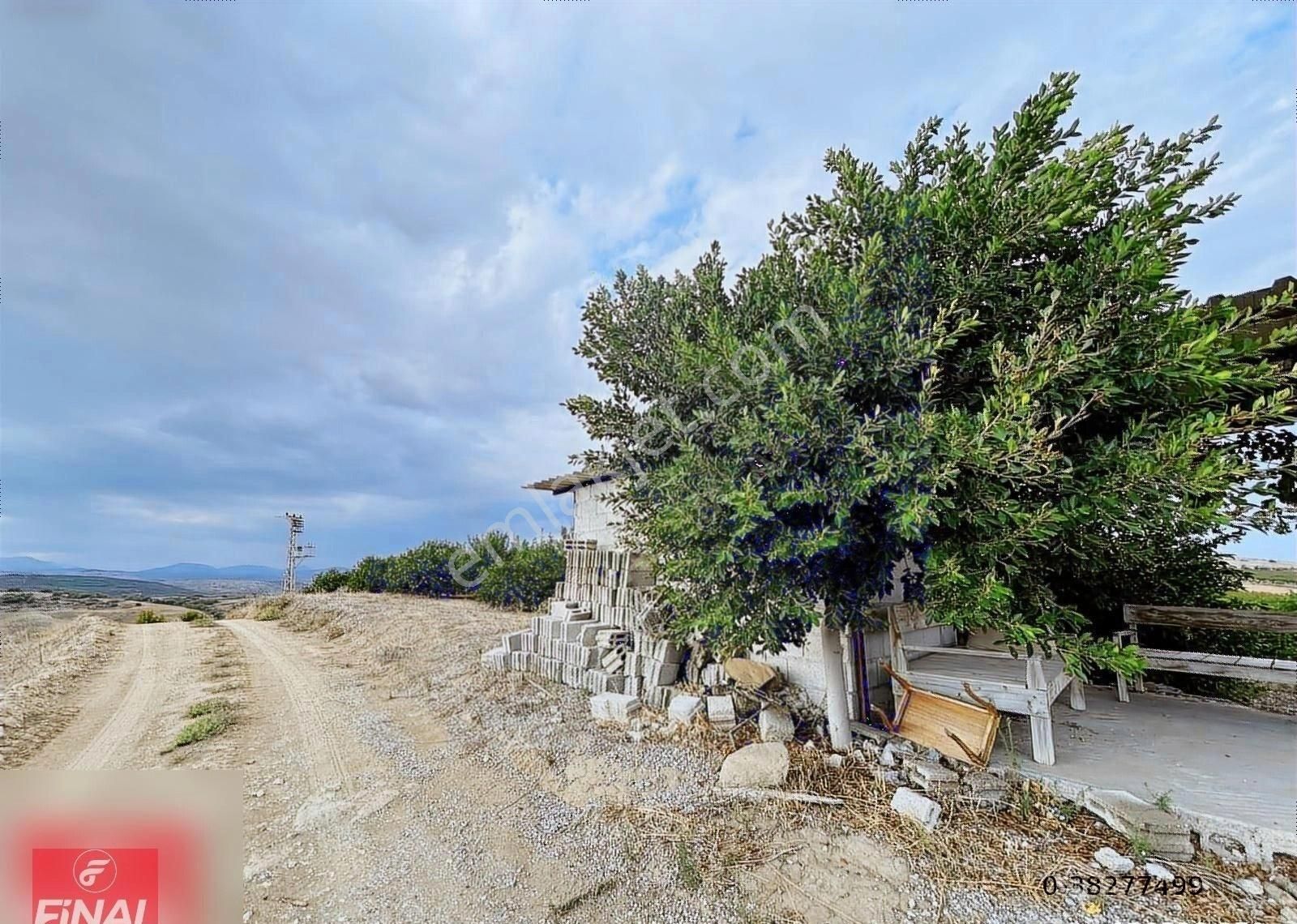 Final Emlaktan Cırbıklar Köyünde 72 Dönüm Nar Bahçesi Satılıktır - Görsel 29