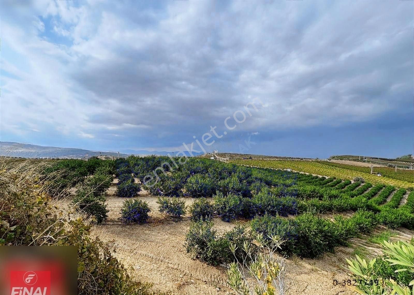 Final Emlaktan Cırbıklar Köyünde 72 Dönüm Nar Bahçesi Satılıktır - Görsel 23
