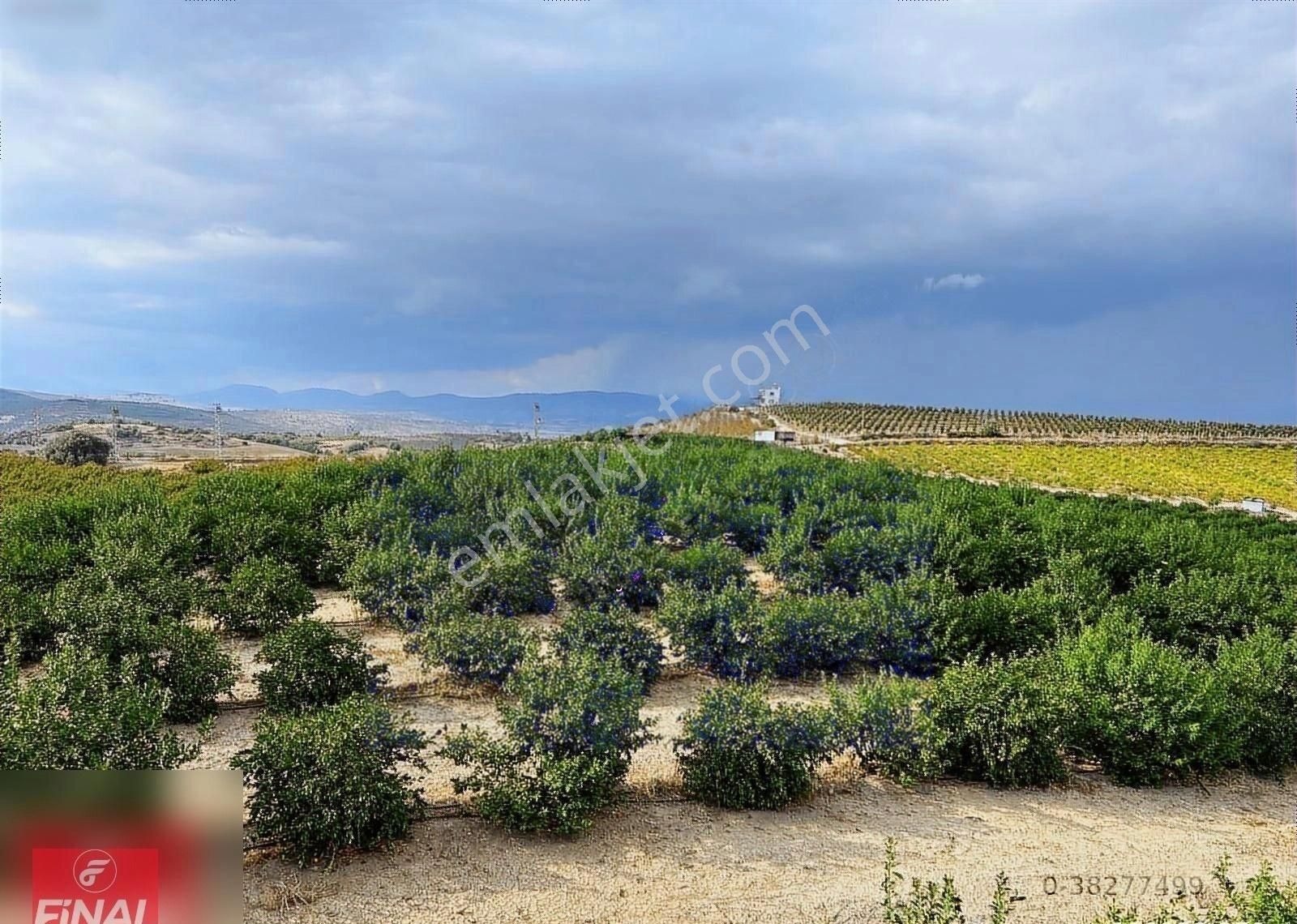 Final Emlaktan Cırbıklar Köyünde 72 Dönüm Nar Bahçesi Satılıktır - Görsel 25