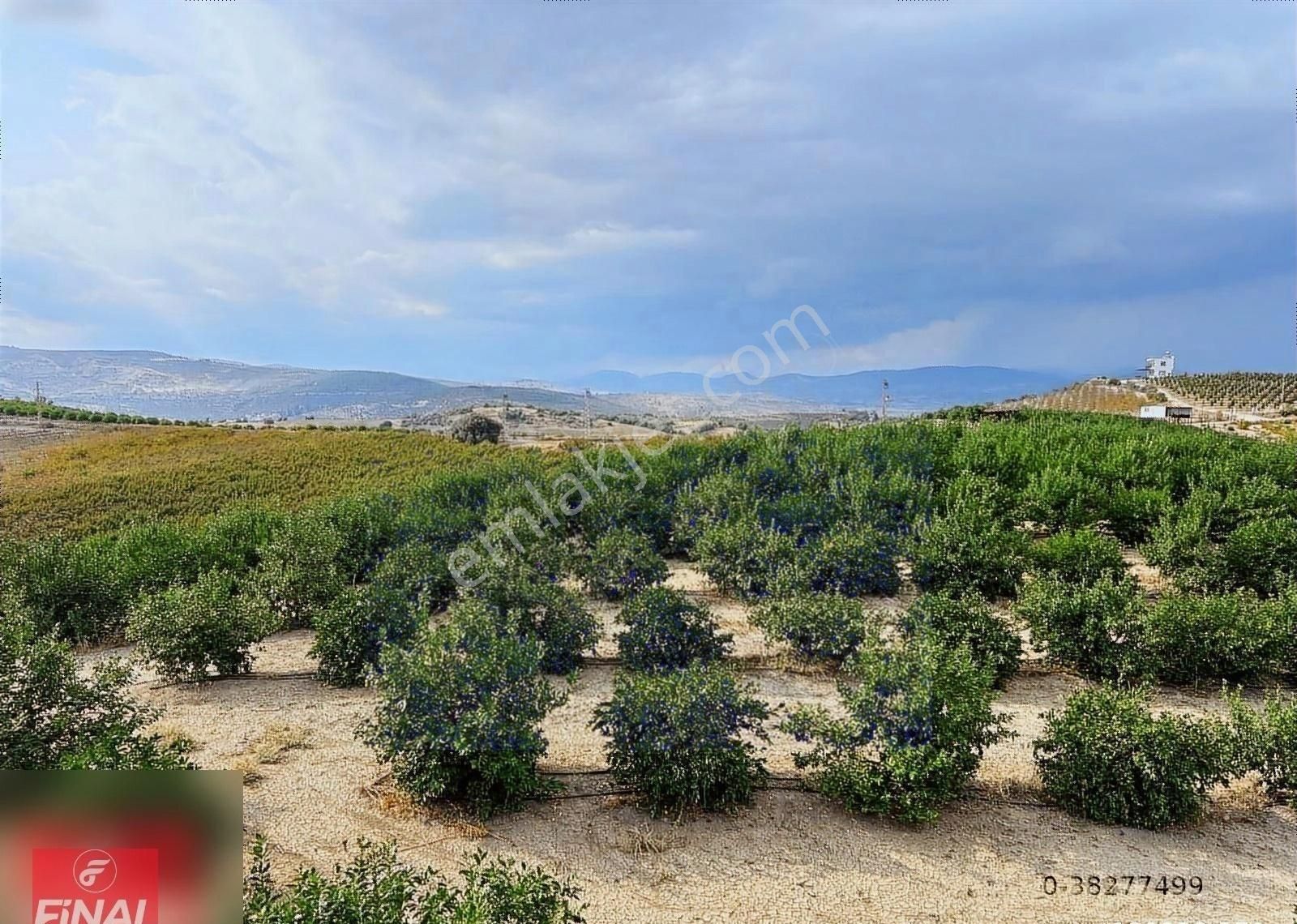 Final Emlaktan Cırbıklar Köyünde 72 Dönüm Nar Bahçesi Satılıktır - Görsel 14