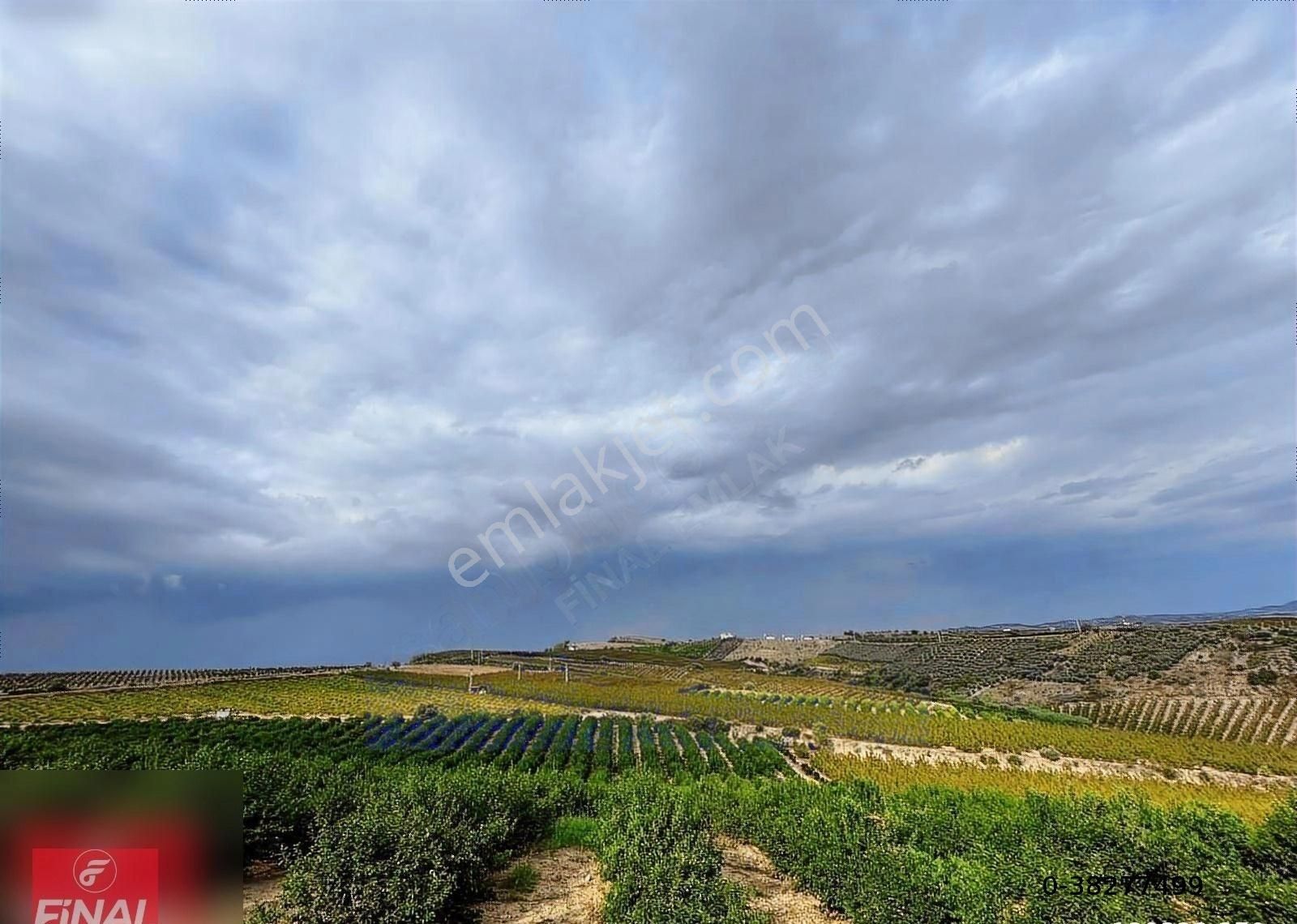 Final Emlaktan Cırbıklar Köyünde 72 Dönüm Nar Bahçesi Satılıktır - Görsel 3