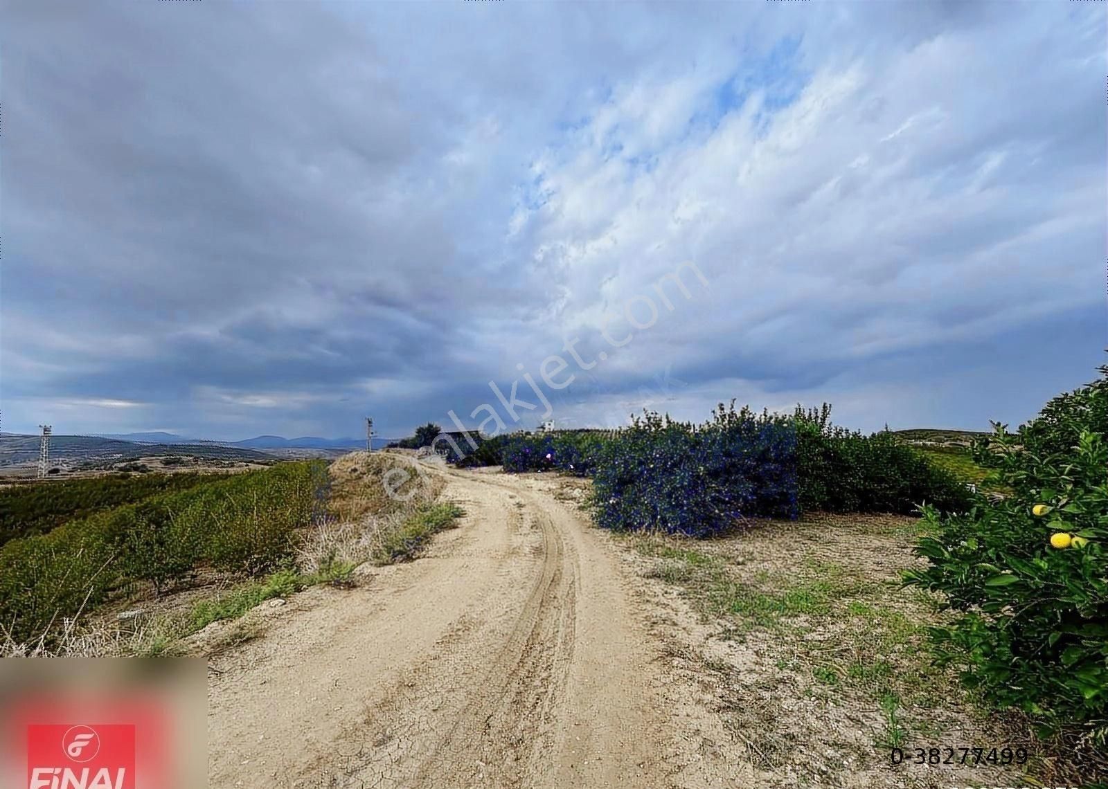 Final Emlaktan Cırbıklar Köyünde 72 Dönüm Nar Bahçesi Satılıktır - Görsel 22