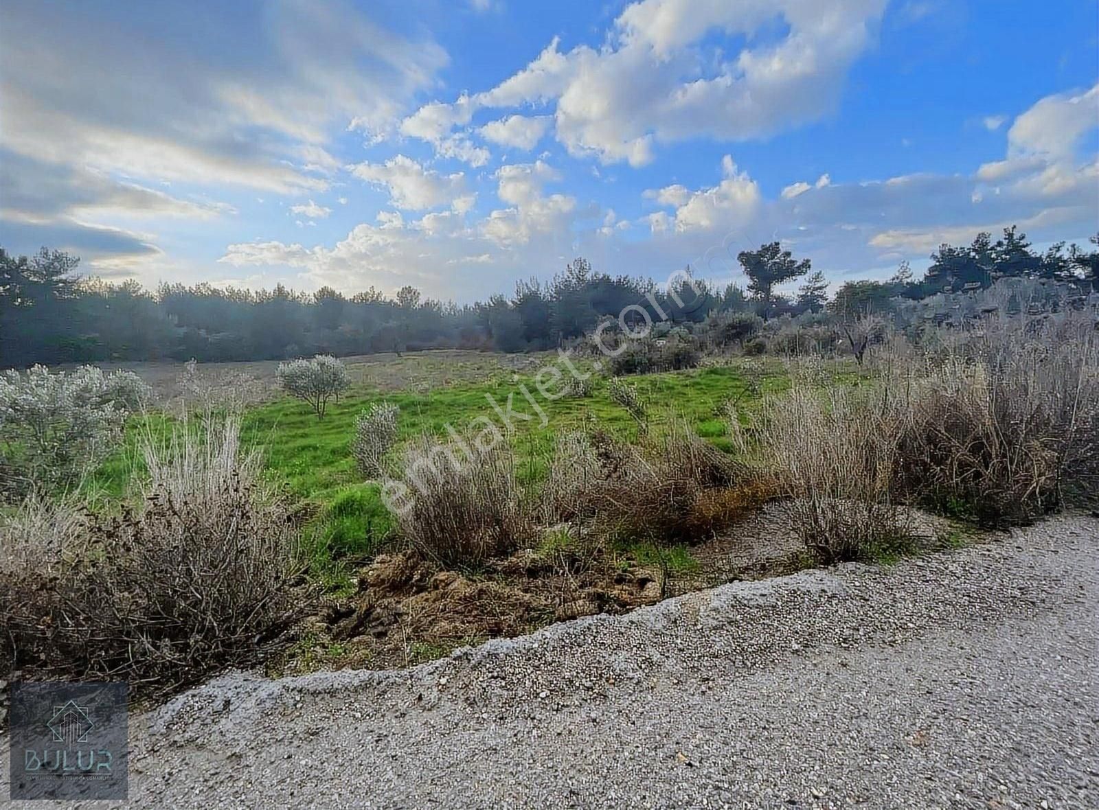 Buca Kaynaklar Merkez Satılık Tarla Buca Kaynaklar Tek Tapulu Satılık 9dönüm 600m2 Tarla