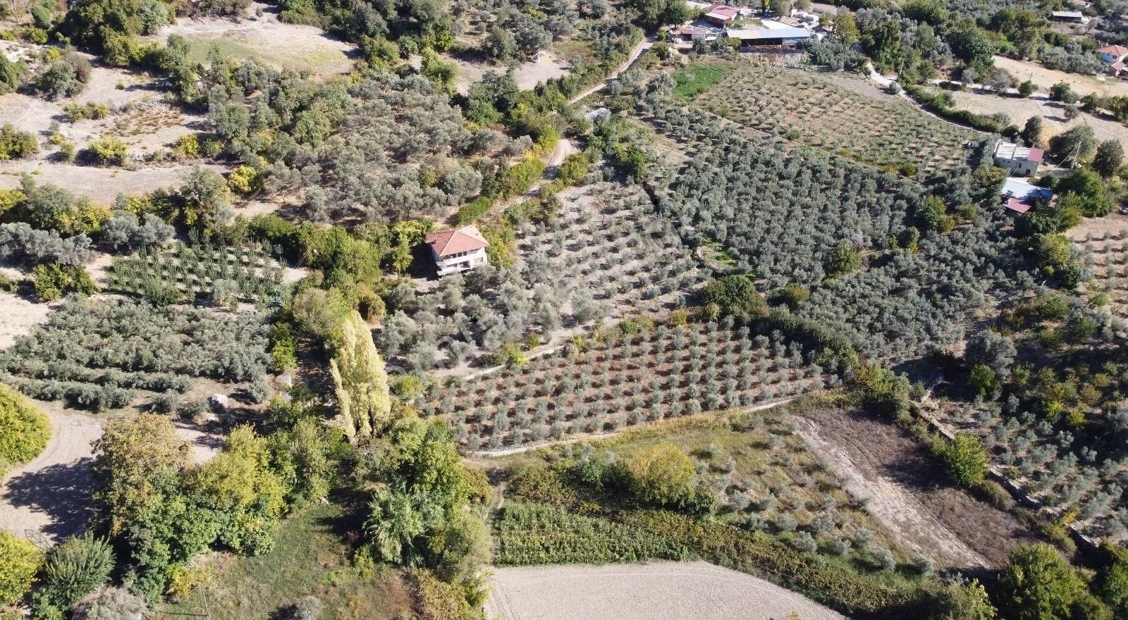 Seydikemer Bağlıağaç Satılık Tarla Fethiye Seydikemer'de Doğa Harikası Satılık Tarla G-425