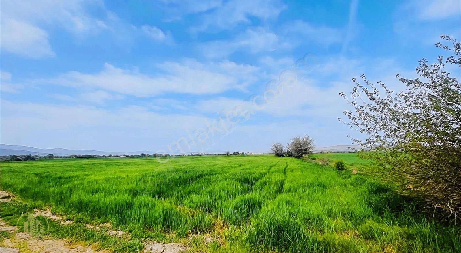 Elazığ Merkez Doğankuş Köyü Satılık Tarla Doğankuş Köyünde Satılık 2 Adet Uygun Tarla