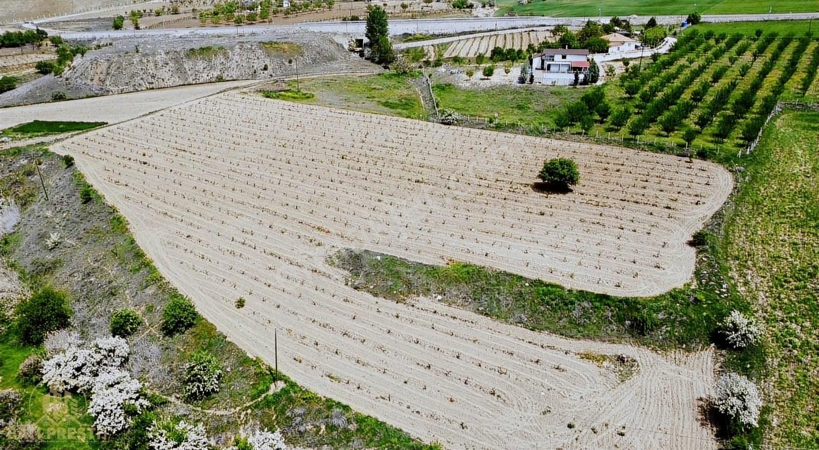 Elazığ Merkez Salkaya Köyü Satılık Bağ & Bahçe Salkaya Köyünde Satılık Bağ&bahçe