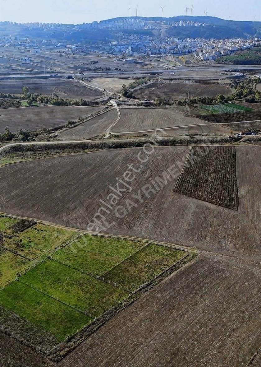 Çatalca Ferhatpaşa Satılık Tarla Çatalca Ferhathatpaşa Da 1,163 M2 Satılık Tarla