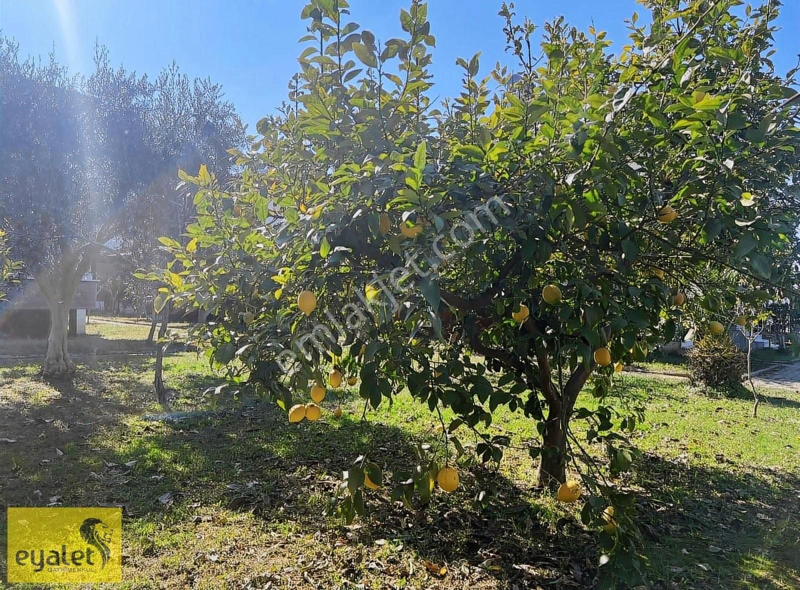 Manavgat Gündoğdu Satılık Daire Gözde Yazlık