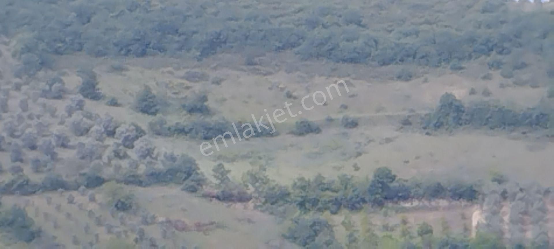 Bursa İznik Tacir Köyünde Müstakil Tapulu Hesaplı Tarla Satılık - Görsel 4